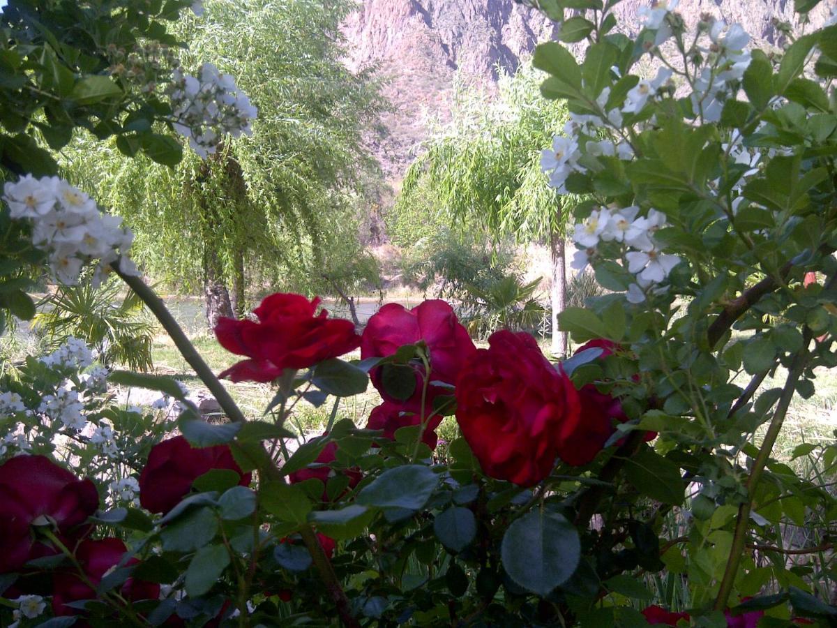 The Rose Garden at Washington Oaks